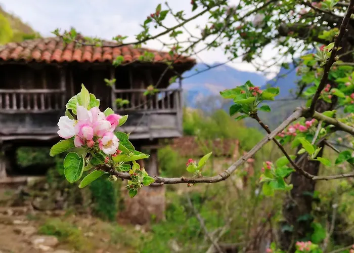 Casa La Parra