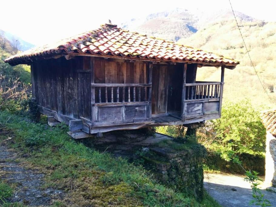 Holiday home Casa La Parra