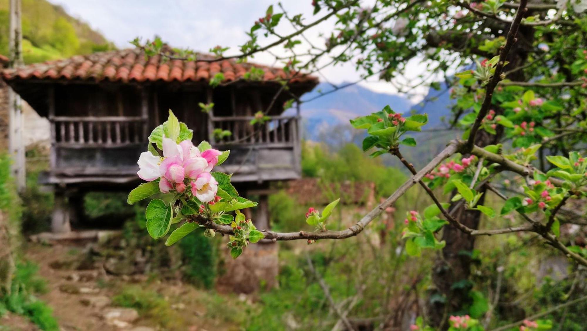 Casa La Parra Villar de Vildas